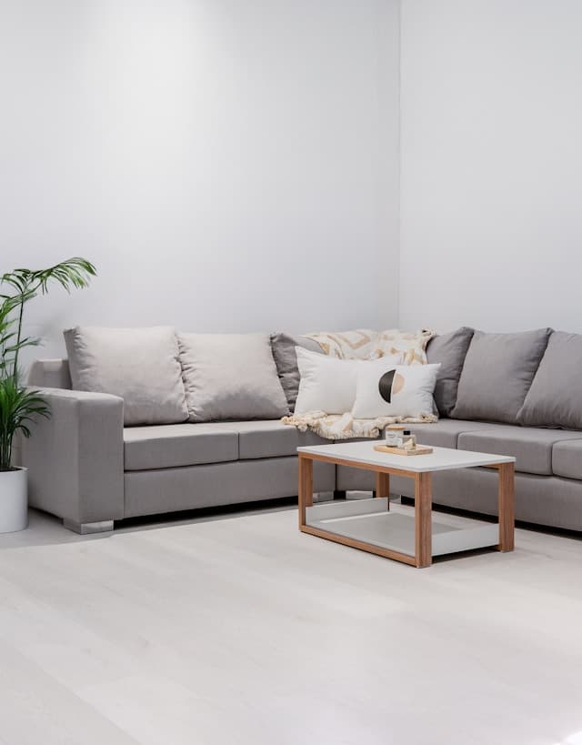Modern Sofa